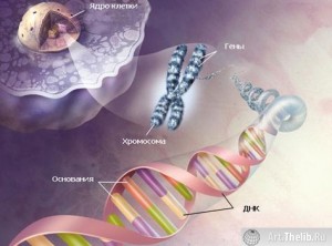 poluzhizn_rasshifrovan_genom_samogo_zagadochnogo_biologicheskogo_obekta_8